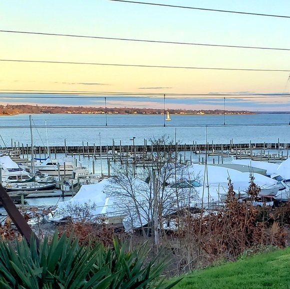 Meet your Posher, Jackie - Picture 7 of 10